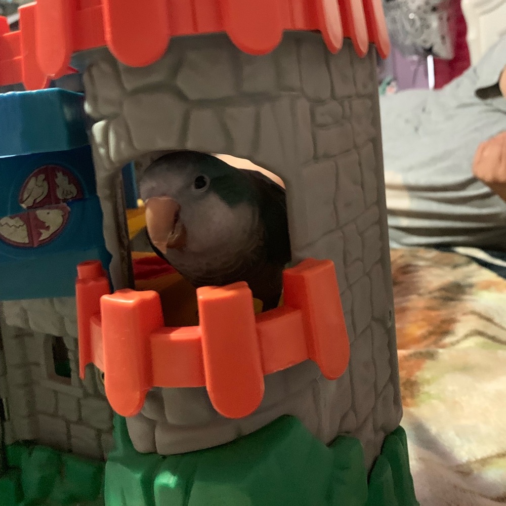 Meet your Posher, Raquel